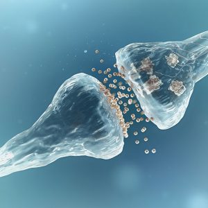 Γονιδιακός έλεγχος Γονιδιακός έλεγχος