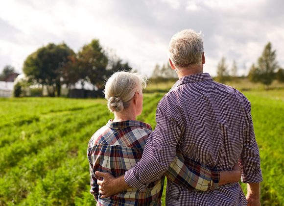 Συμπληρωματική αντιμετώπιση